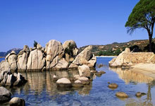 猛龙绝杀时刻，唐斯点燃赛场，掀起高潮迎来胜利！的简单介绍